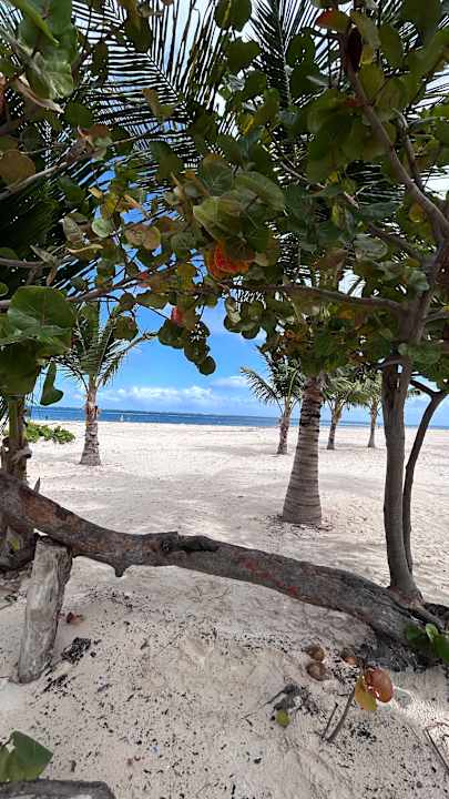 Strand Serenade All Suites - Adults Only Resort