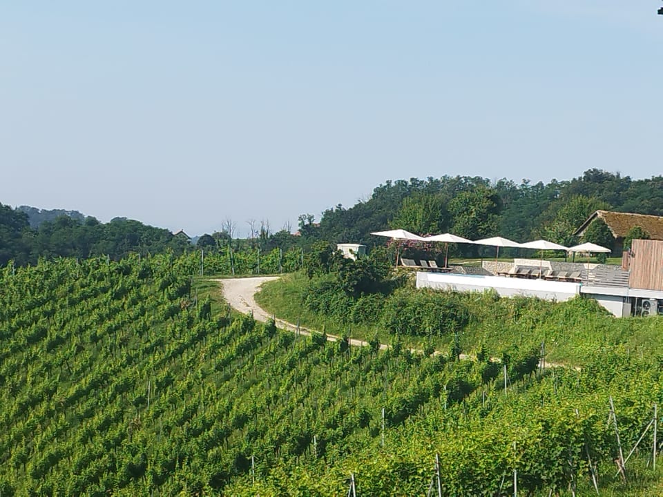 Ausblick Pension Vuglec Breg