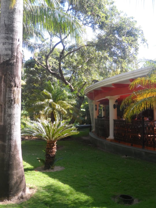 Ogród Hotel Riu Tequila