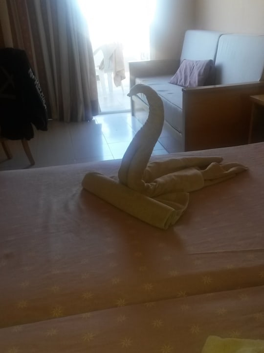 Zimmer SBH Costa Calma Beach Resort