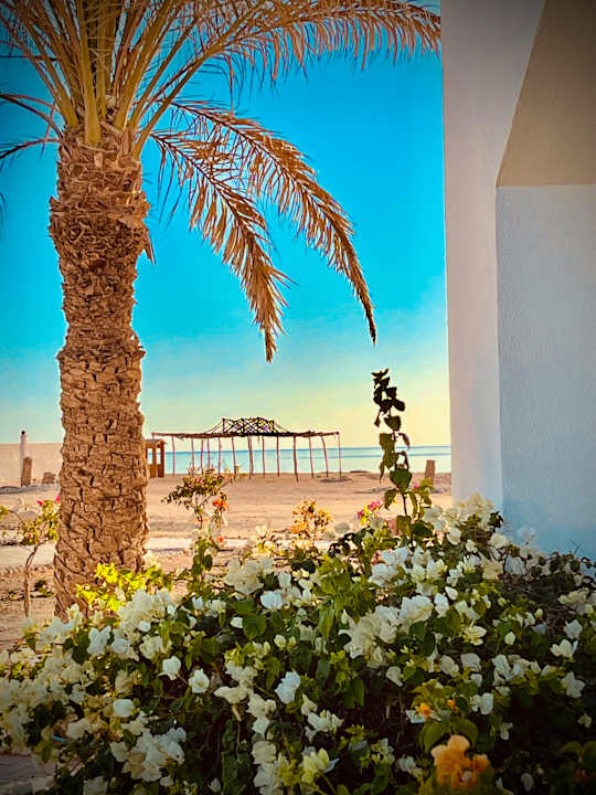 Außenansicht Beach Safari Nubian Resort