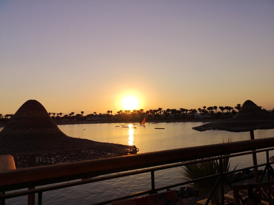 Ausblick Desert Rose