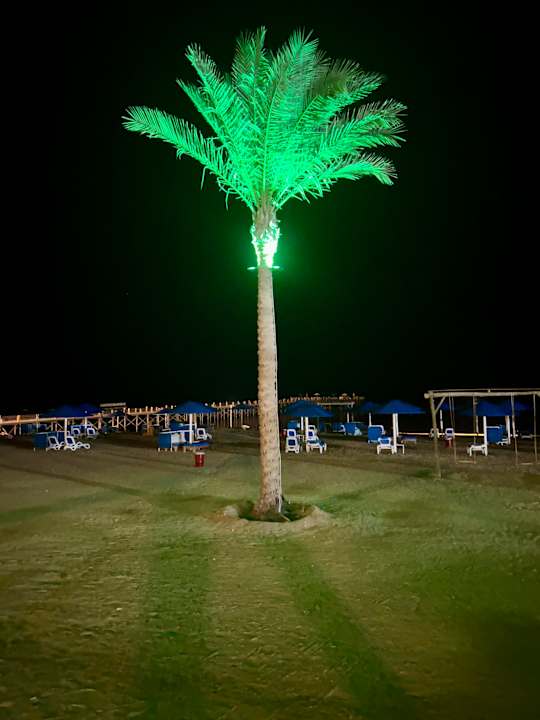 Ausblick Pickalbatros Sea World Resort - Marsa Alam