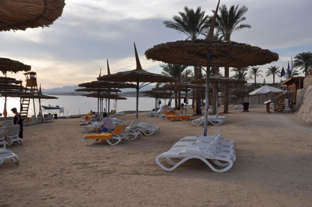 Strandliegen am Strand Reef Oasis Blue Bay Resort