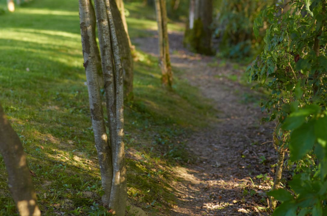 Weg zum Grillplatz am Schanzer Teich Hotel Zur Schanz