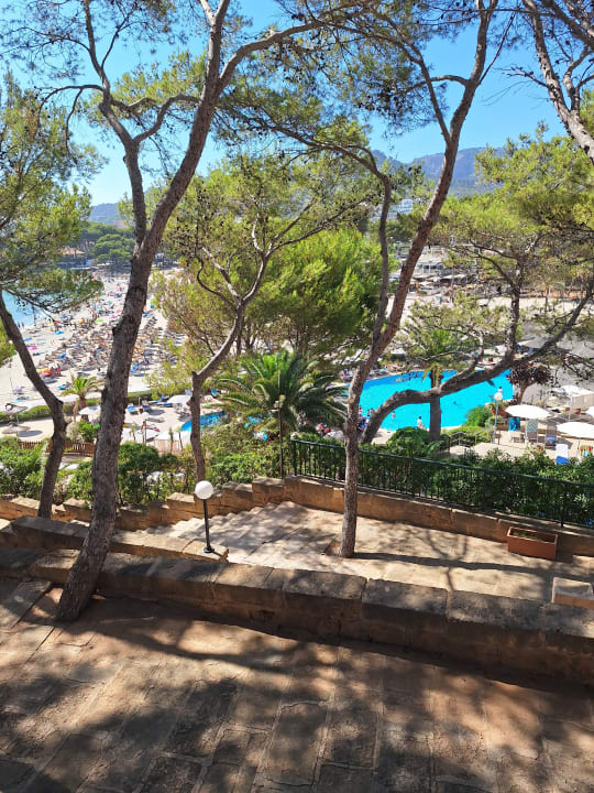 Gartenanlage Universal Hotel Lido Park & Spa