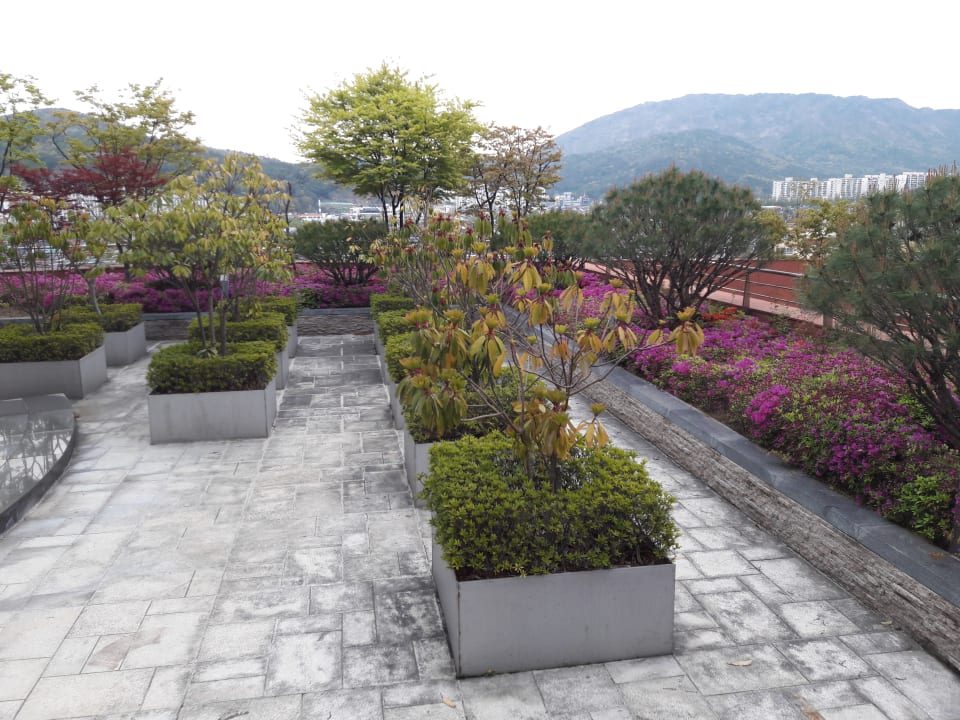 Gartenanlage Grand Mercure Ambassador Changwon