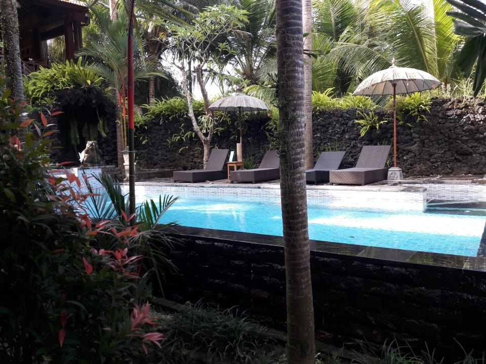 Pool Budhi Ayu Villas Ubud