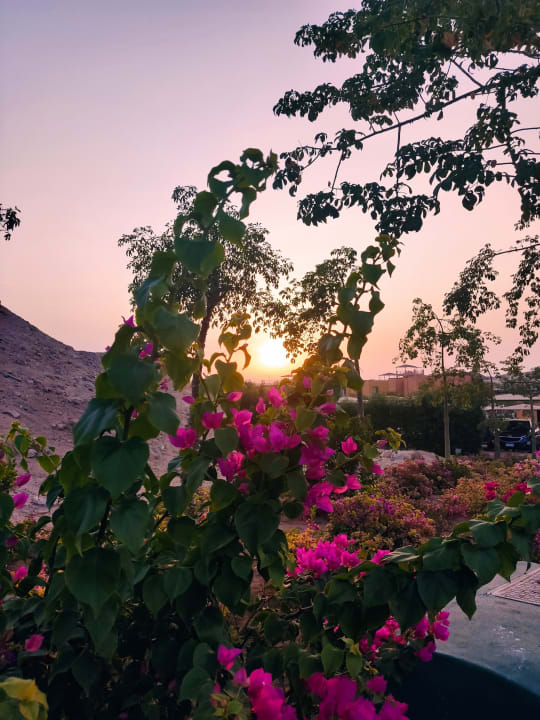 Gartenanlage Pickalbatros Villaggio Resort - Portofino