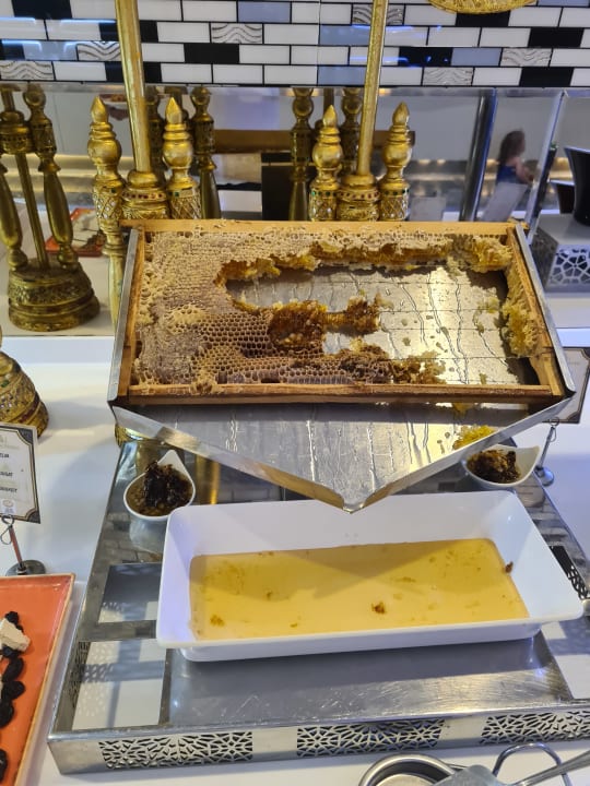 Gastro Royal Taj Mahal Hotel