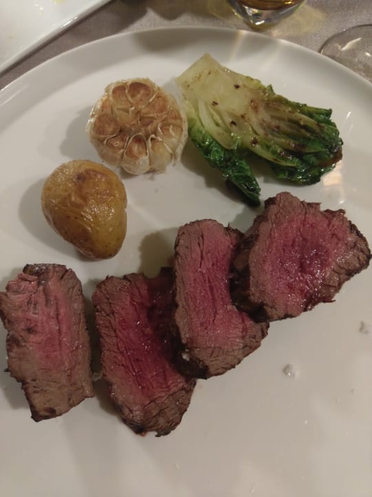 Gastro Lara Barut Collection