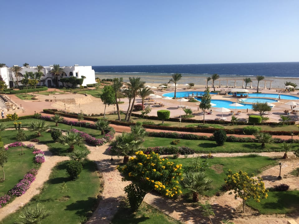 Gartenanlage Three Corners Equinox Beach Resort