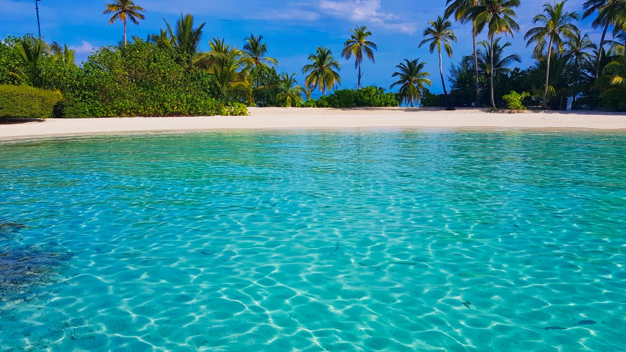 Strand Safari Island Maldives