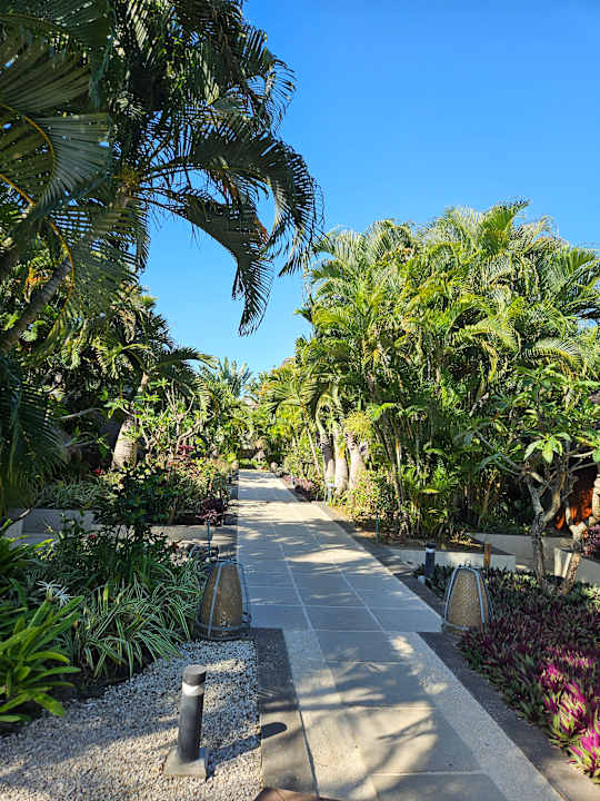 Sonstiges Zilwa Attitude