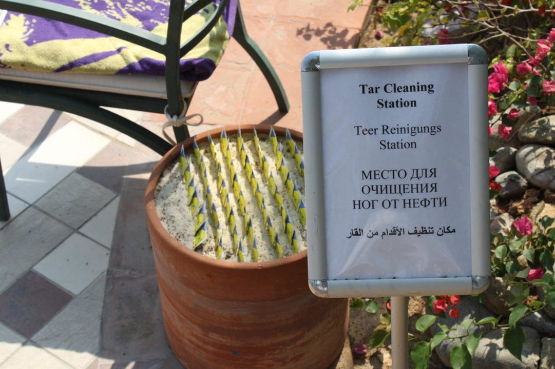 Hier können Sie sich vom Teer befreien! Hotel Le Meridien Al Aqah Beach Resort