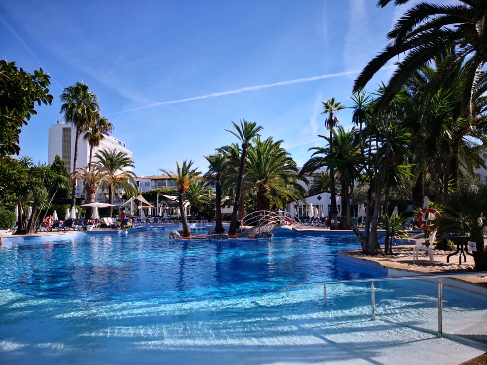 Pool Alcudia Garden Aparthotel