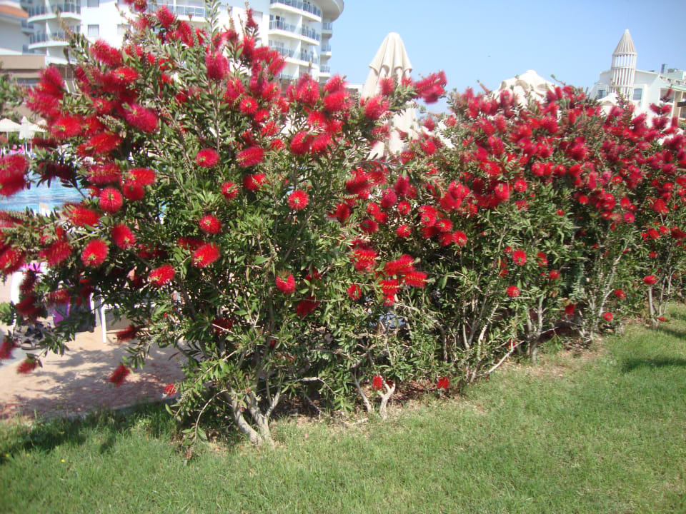 Mooi!  Seaden Sea World Resort & Spa