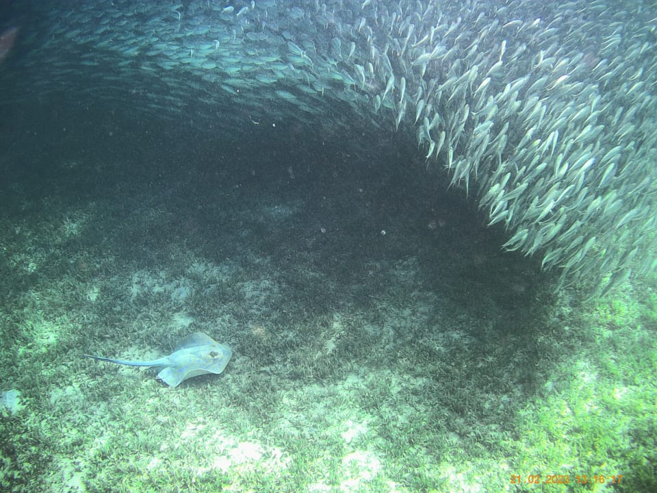 Strand SUNRISE Royal Makadi Resort