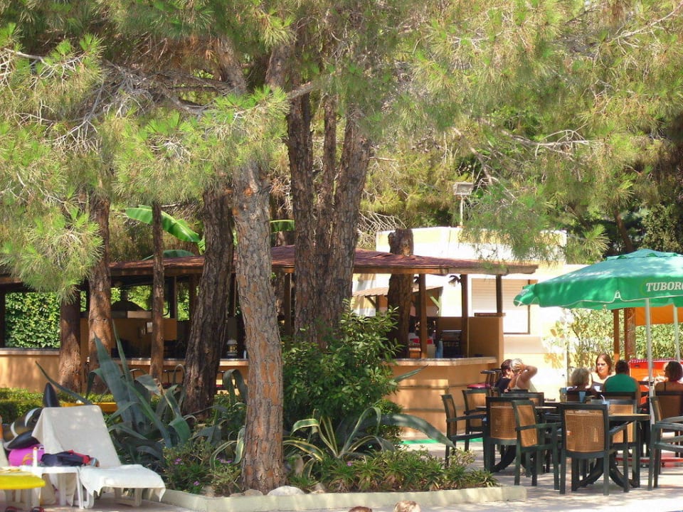 Die Poolbar Asteria Collection Side
