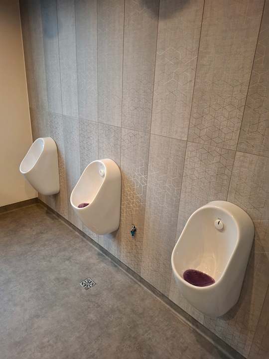 Lobby Hotel Convictus Cracovia for business & travellers