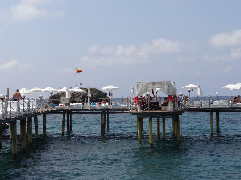 Steg Granada Luxury Okurcalar
