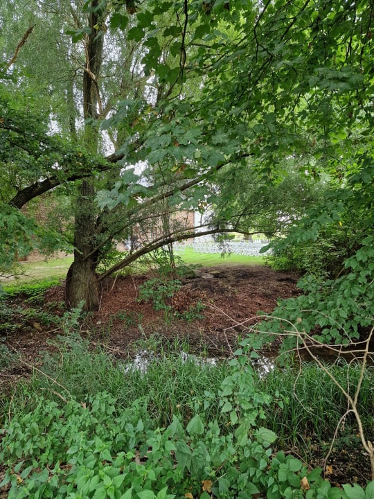 Gartenanlage Gut Hohenholz