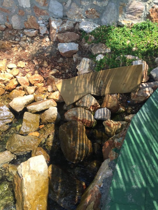 Der verdreckte Strand  Bodrum Holiday Resort & Spa