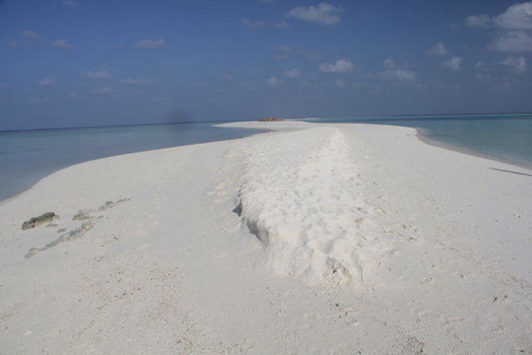 Die Sandbank ganz für uns alleine Kuramathi Maldives