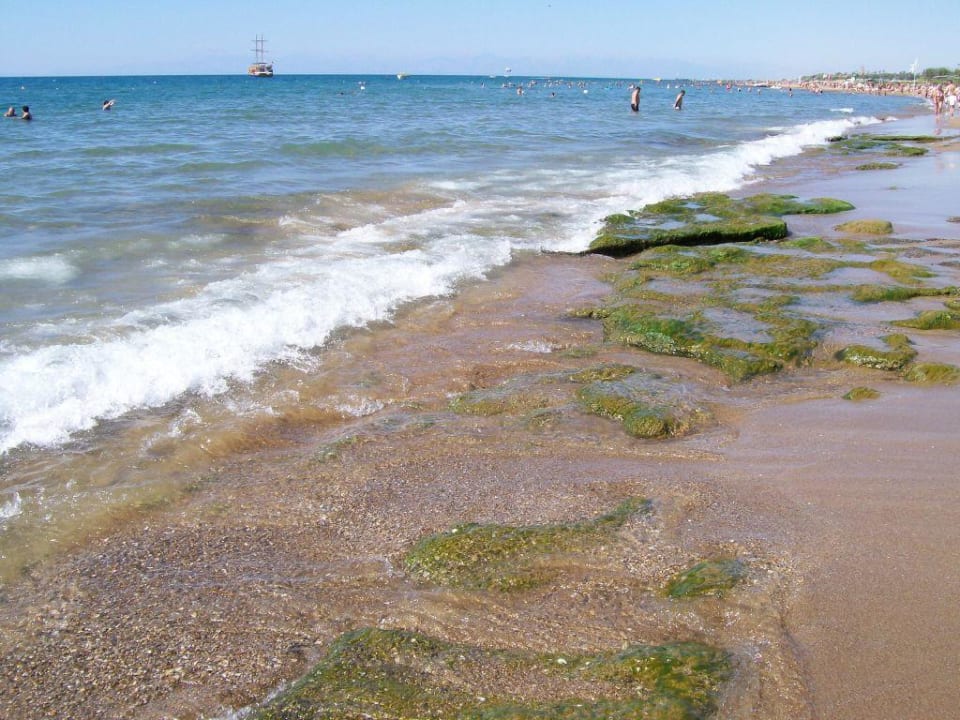 Strand Hotel Orfeus Park