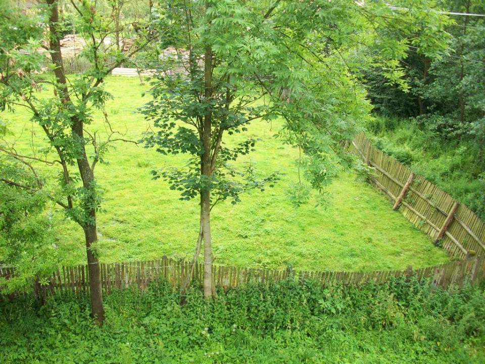 Aussicht/Ausblick Pension Kfely Mühle