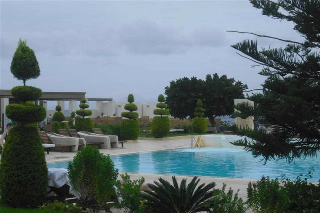 Tolle Buchsbäume The Ixian Grand & All Suites