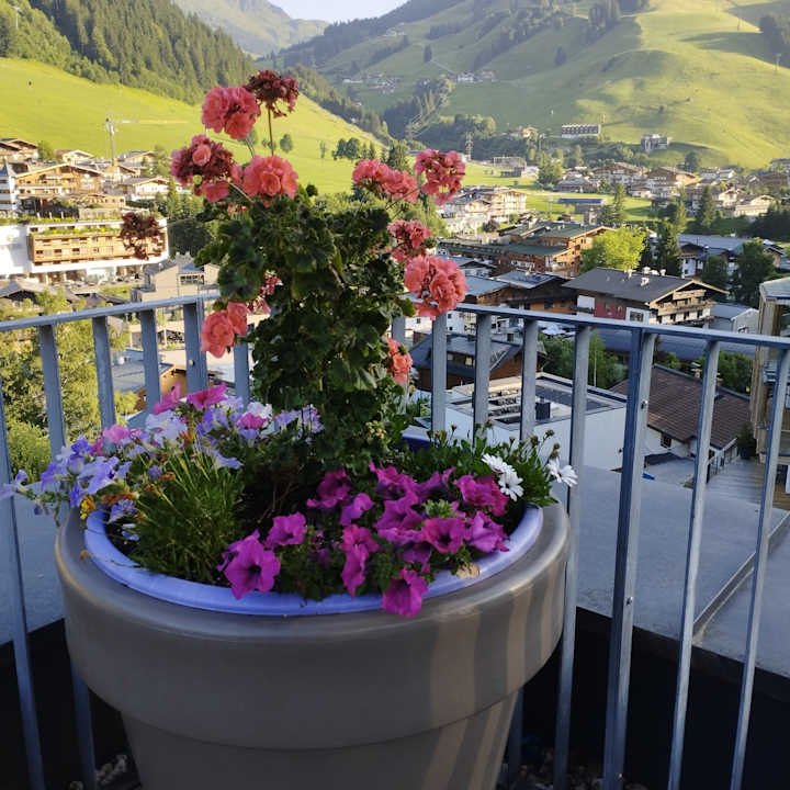 Ausblick Adler Resort