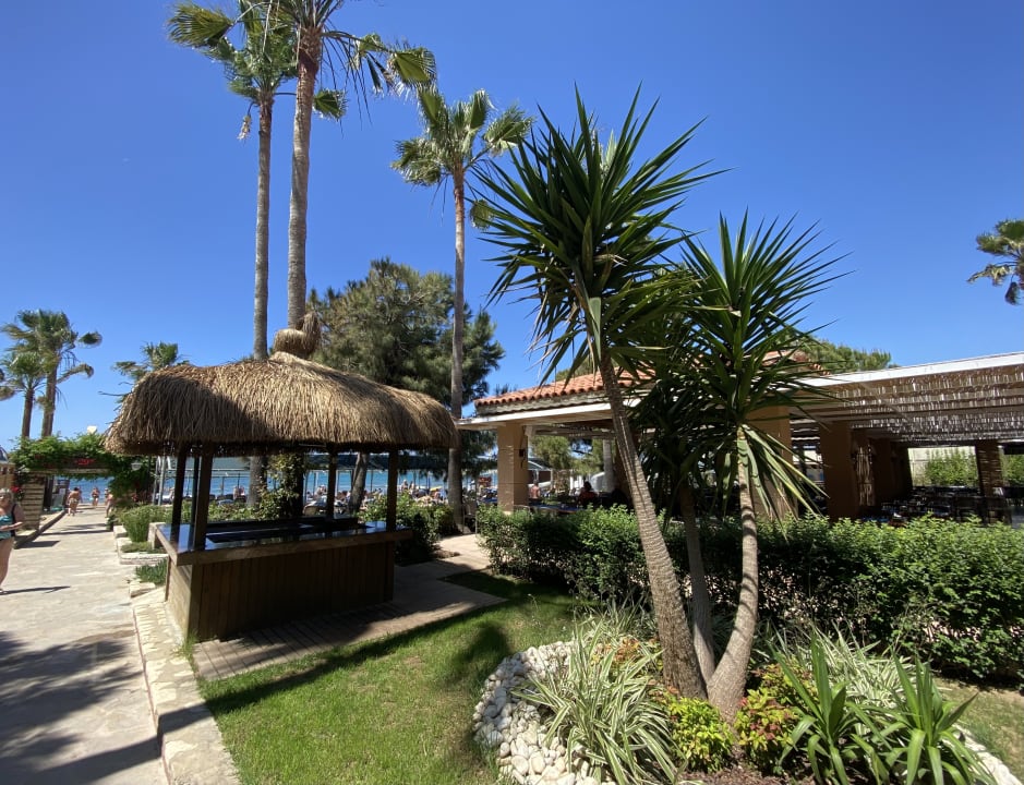 Gartenanlage Trendy Palm Beach (Adults Only, 16+)