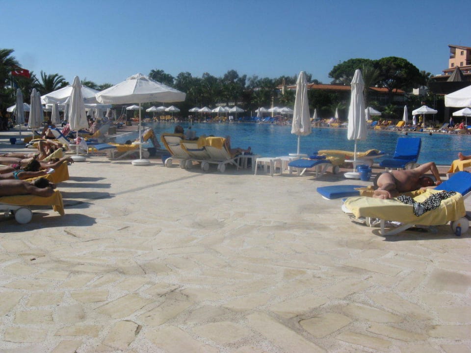 Außenpool Papillon Belvil