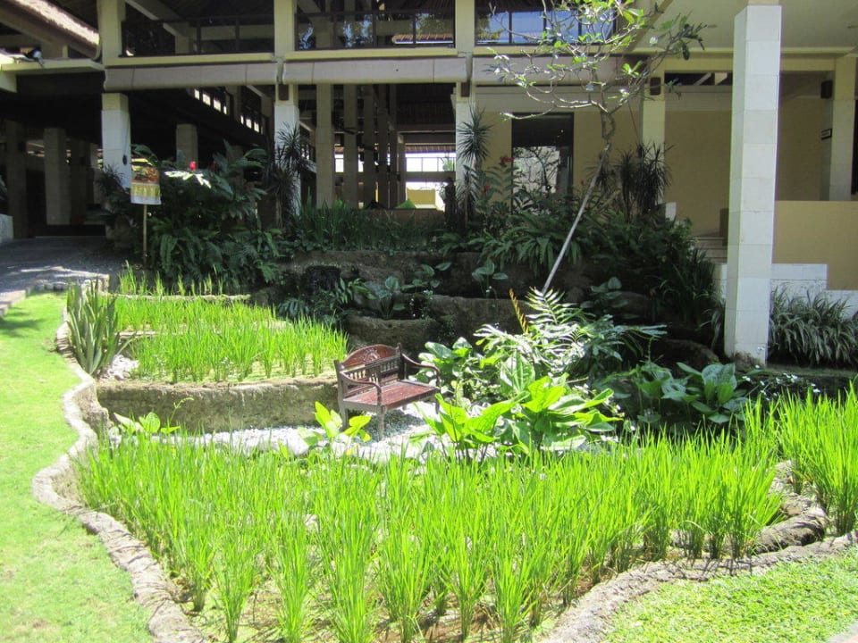 Lobbybereich aus dem Garten heraus Mercure Resort Sanur