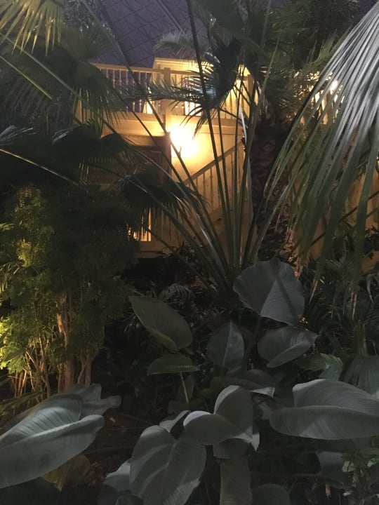 Gartenanlage Tropical Islands Resort