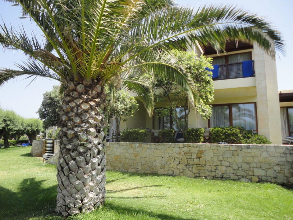 Wygląd zewnątrzny, ogród allsun Hotel Malia Beach