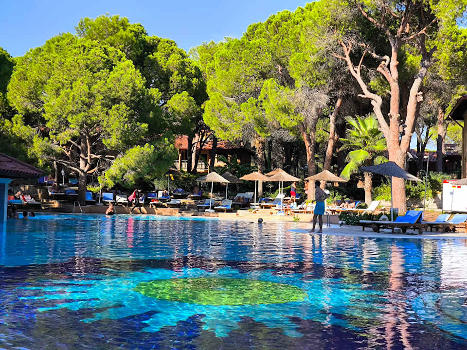 Pool Asteria Family Belek