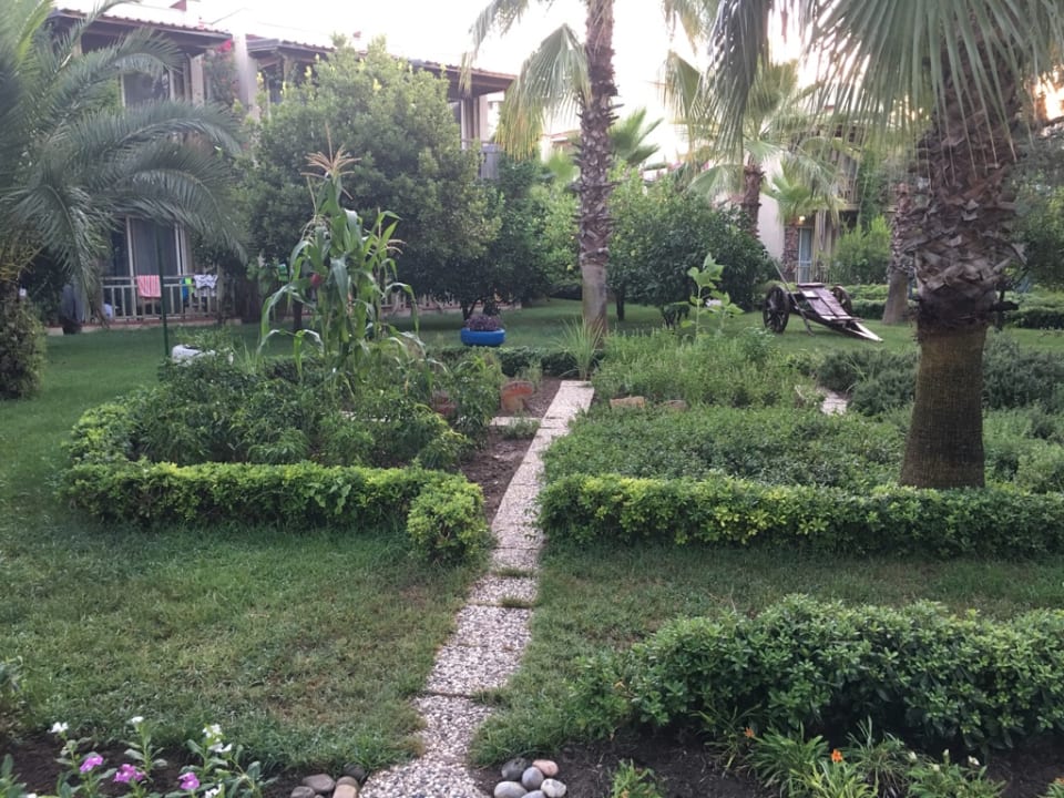 Gartenanlage Paloma Oceana