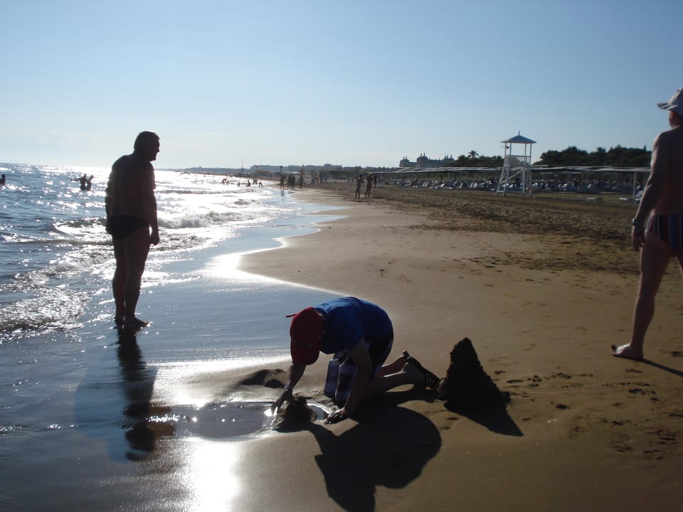 Strand Alba Queen Hotel