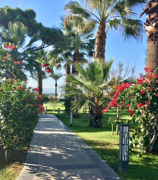 Sehr gepflegter Garten. Papillon Ayscha