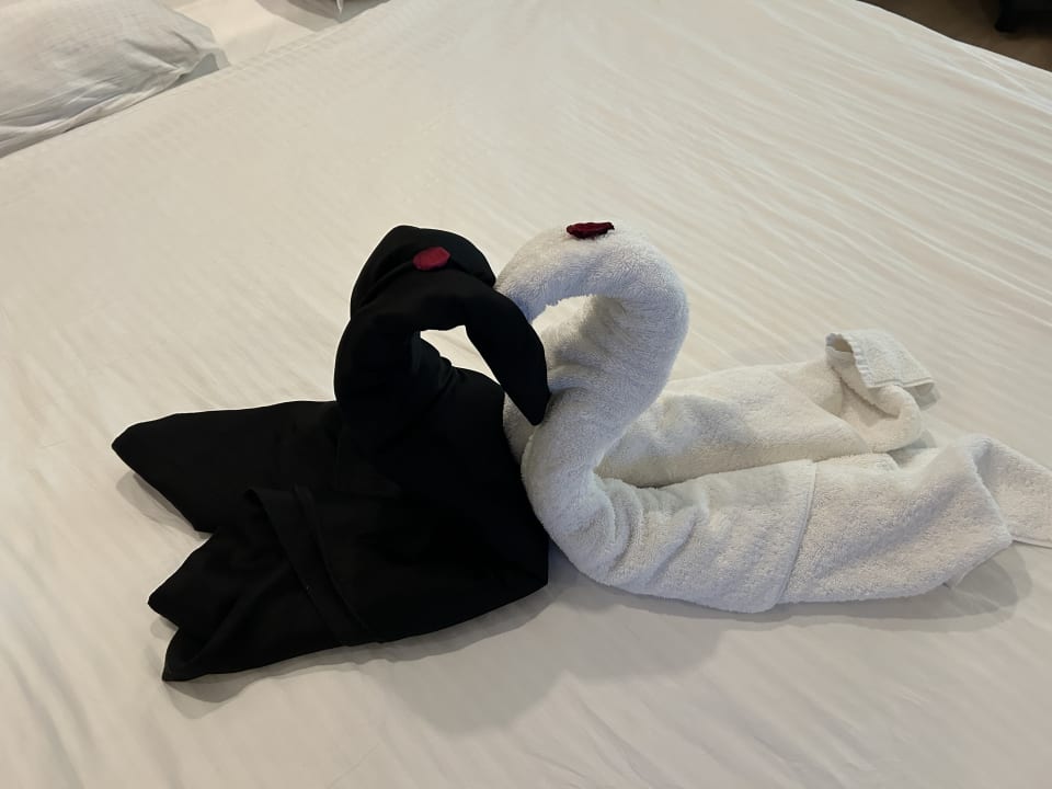 Zimmer Hotel Delphin Imperial