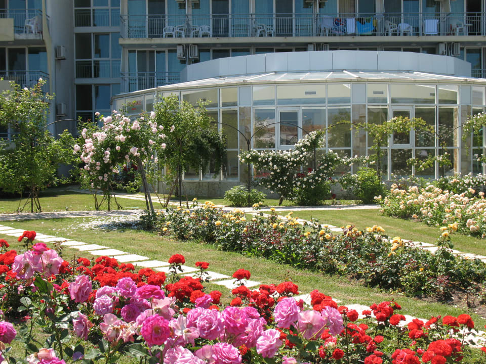 The garden of roses Hotel Laguna Beach