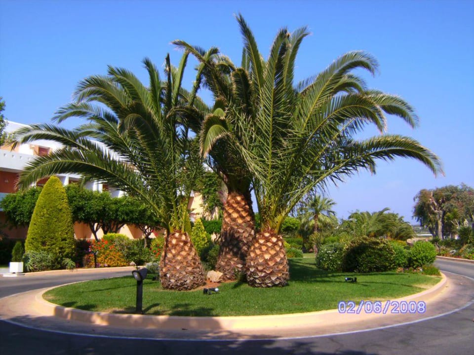 Einfahrtsbereich Anissa Beach & Village