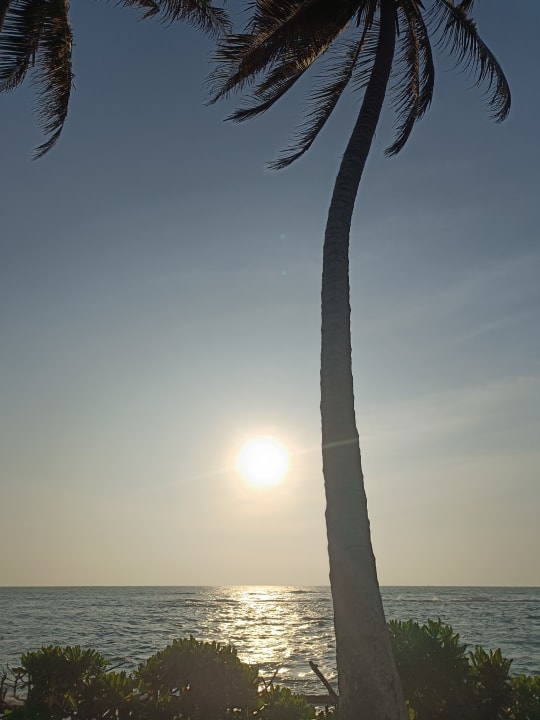 Ausblick Earl’s Reef Beruwala