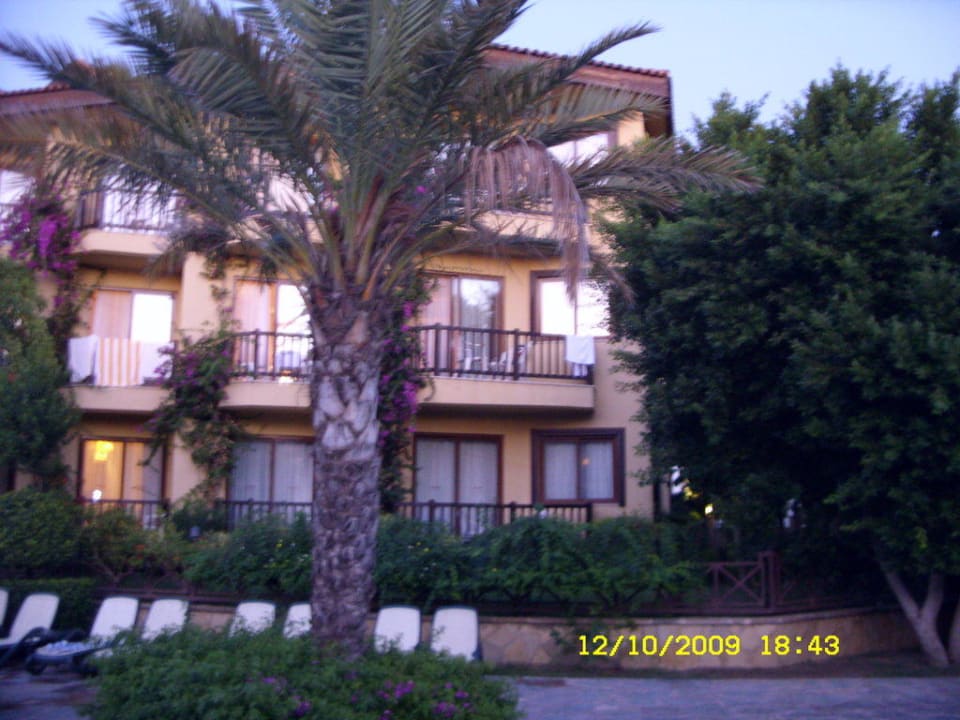 Blick vom Pool Alba Resort Hotel