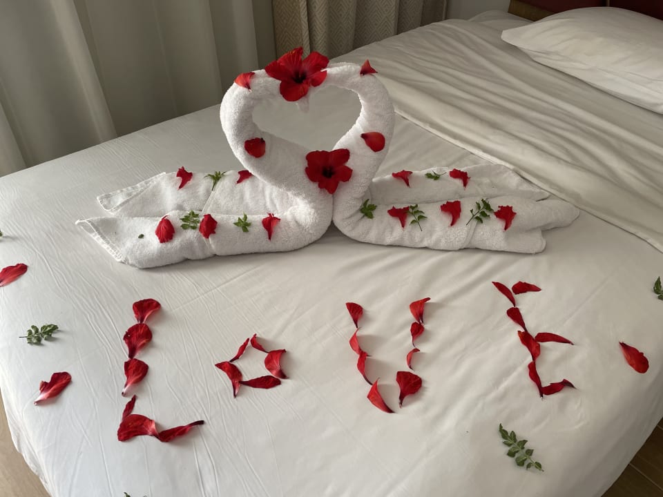 Zimmer Stella Beach Resort & Spa Makadi Bay