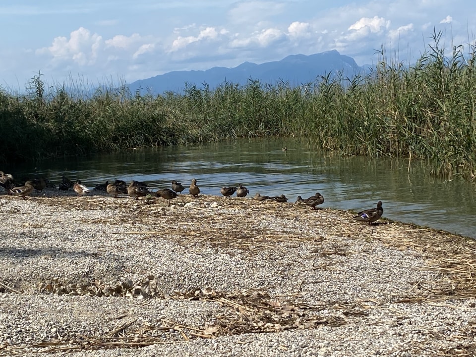 Strand Camping Bella Italia
