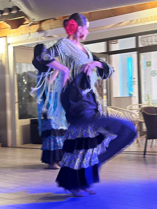 Lobby Aparthotel Houm Plaza Son Rigo