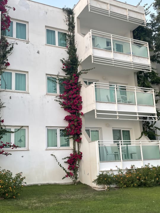 Außenansicht Bodrum Holiday Resort & Spa